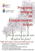 REALIZACIÓN DE TAREAS DIDÁCTICAS PARA ADULTOS DE FORMA NO PRESENCIAL