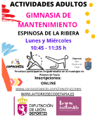 GIMNASIA MANTENIMIENTO ESPINOSA